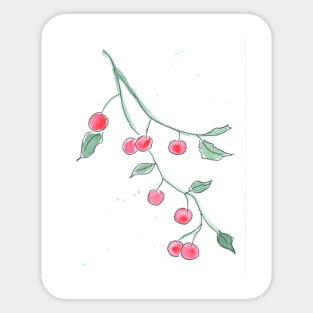 Branch with cherries. Berries, fruits. Watercolor, art decoration, sketch. Illustration hand drawn modern Sticker